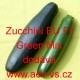 Tykev obecná cuketa hybridní Zucchini EU F1 Green Mix