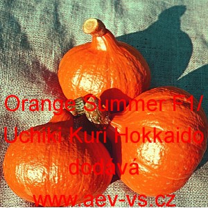 Tykev velkoplodá hybridní Orange Summer F1/Uchiki Kuri Hokkaido