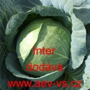 Zelí hlávkové bílé Inter