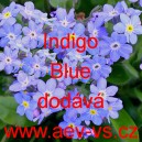 Pomněnka lesní Indigo Blue