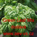 Bazalka vonná zelenolistá Basilikum Green Leaf Mix