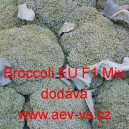Brokolice hybridní Broccoli EU F1 Mix