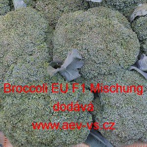 Brokolice hybridní Broccoli EU F1 Mischung