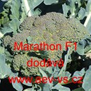 Brokolice hybridní Marathon F1