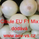 Cibule jarní kuchyňská hybridní bílá EU F1 Mix