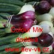 Cibule jarní kuchyňská svazková podlouhlá až kulovitá Colour Mix