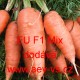Mrkev obecná hybridní Chantenay polopozdní EU F1 Mix