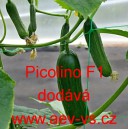 Okurka setá salátová hybridní "hadovka" do skleníku Picolino F1