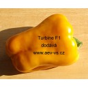 Paprika roční zeleninová hybridní Turbine F1