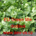 Salát hlávkový letní polní EU Green Mix
