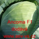 Zelí hlávkové bílé hybridní Ancoma F1